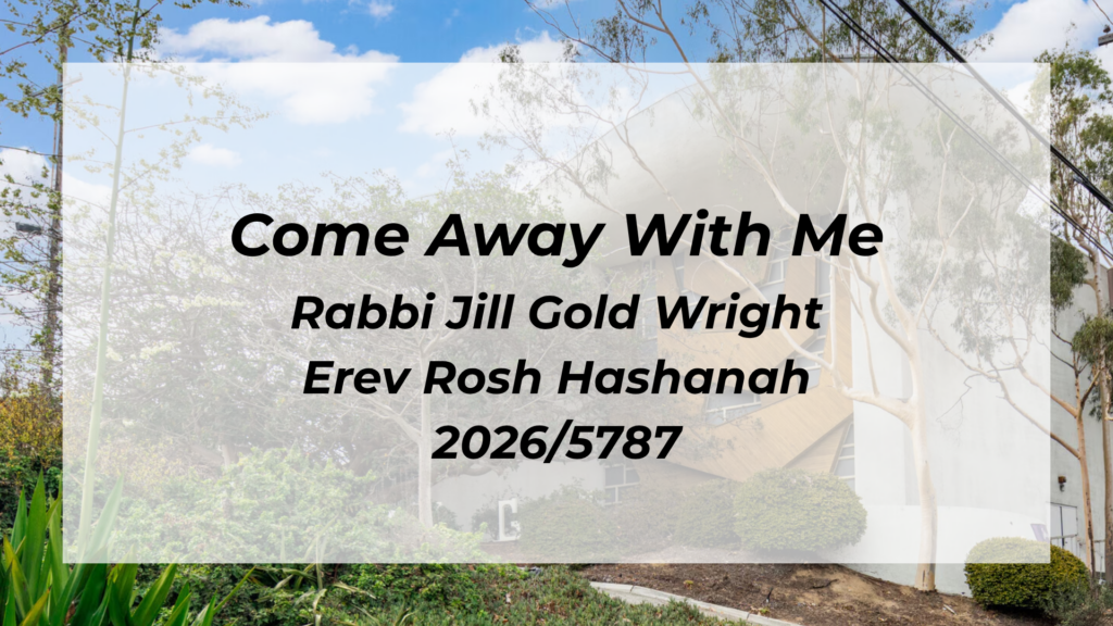 Rabbi Jill Gold Wright – Erev Rosh Hashanah 2026/5787