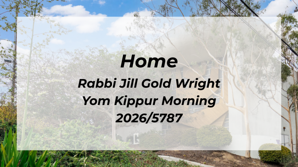 Rabbi Jill Gold Wright- Yom Kippur Sermon 2026